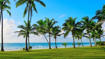 Kenija – Safari i Diani Beach – 9 dana