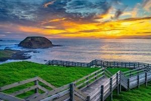 Nova godina u Australiji – 15 dana