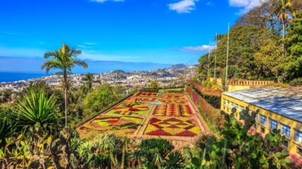 Madeira, otok vječnog proljeća – 6 dana izravnim charter letom iz Zagreba