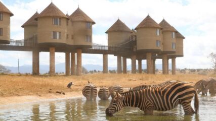 Kenija: Safari u dva nacionalna parka, odmor na Diani Beach i posjet glavnom gradu Nairobi