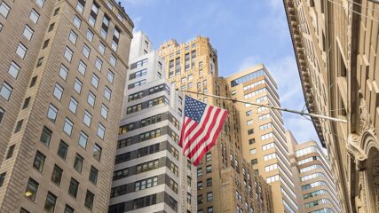 NEW YORK s izletom u Washington, 8 dana