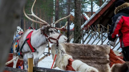 Putovanje Rovaniemi, 3 dana 2026.