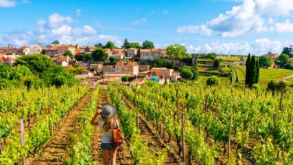 Bordeaux putovanje zrakoplovom – Francuska u čaši